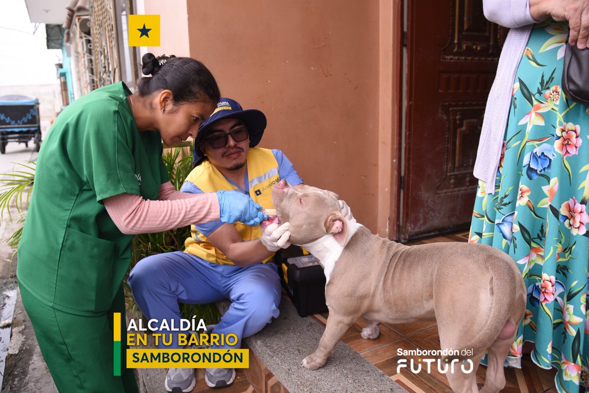 Brigada médica y veterinaria atendió a vecinos en Lomas de San Miguel, Samborondón
